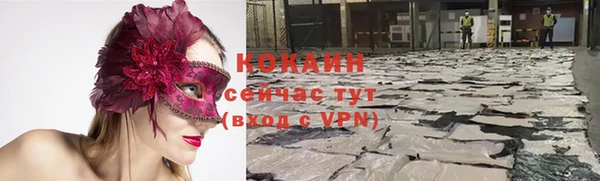 прущие крисы Магадан