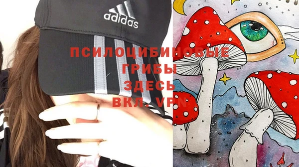 тгк Майский