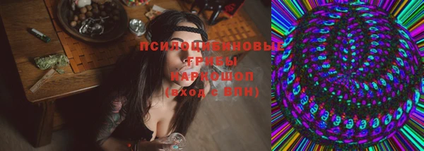 прущие крисы Магадан