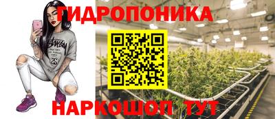 эйфоретик Абинск