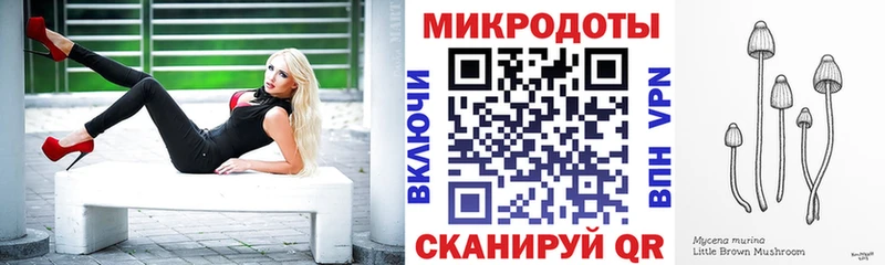 купить закладку  Новосибирск  Галлюциногенные грибы Psilocybe 