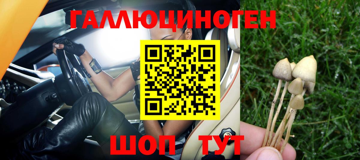 Галлюциногенные грибы мухоморы Новосибирск