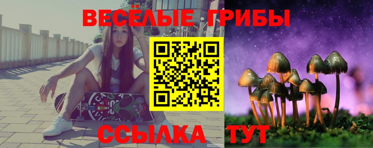 Псилоцибиновые грибы Magic Shrooms  Новосибирск 