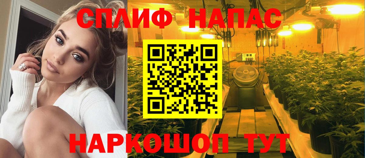 Каннабис Ganja  МАРИХУАНА THC 21%  Вход с VPN  Новосибирск  Шишки марихуана AK-47 